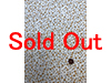 2108-MD55522-24