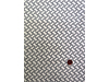 2604-MD49323-24